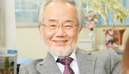 Nhà khoa học Nhật Bản đoạt giải Nobel Y học 2016