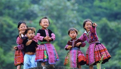 Dùng hình ảnh trên mạng để quảng cáo có vi phạm hay không?