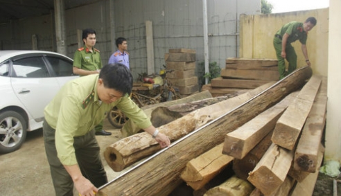 Phạt 1,4 tỉ đồng vì vận chuyển gỗ trái phép