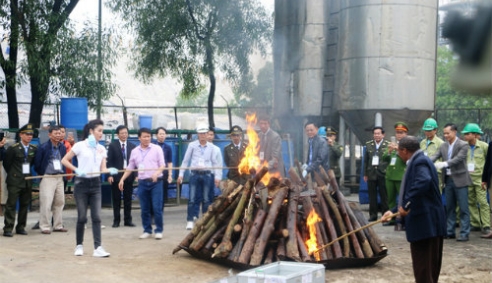 Hơn 2 ngàn tấn ngà voi, sừng tê giác bị tiêu hủy