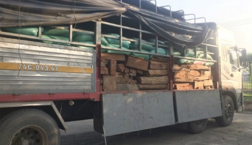 Liên tiếp những vụ vận chuyển gỗ quý bị bắt tại Thanh Hóa