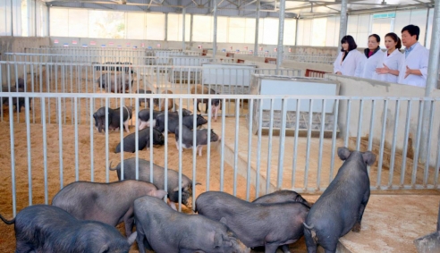 Khởi nghiệp ở nông thôn cần được quan tâm