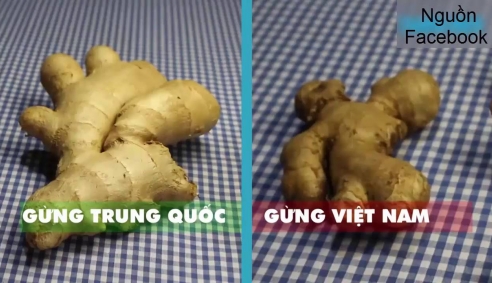 Cách phân biệt thực phẩm Việt Nam và thực phẩm Trung Quốc