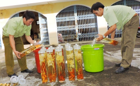 Kon Tum: Tiêu hủy hơn 100 lít rượu ngâm củ dạng sâm không rõ nguồn gốc