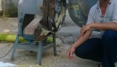 Máy đa năng thái, băm chuối, bắp, cỏ trong 2 phút, do nông dân sáng chế