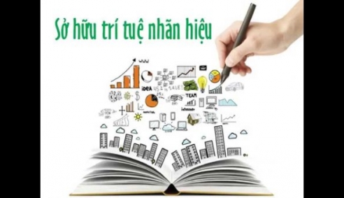 Xác định những hành vi vi phạm nhãn hiệu và các mức xử lý