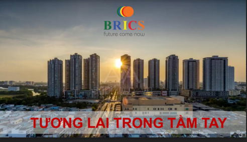 Kỳ 3: Brics Việt Nam có đang cố tình “mập mờ đánh lận con đen”?