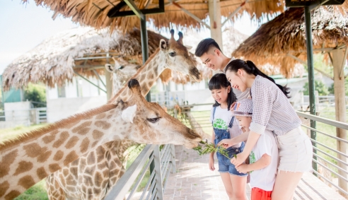 Tổ ấm của hơn 2000 động vật hoang dã ở vườn thú lớn nhất Bắc Trung Bộ
