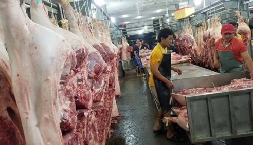 Vụ cấp giấy kiểm dịch cho lô thịt heo nhiễm vi rút: Ban Quản lý An toàn thực phẩm phản hồi thế nào?