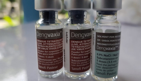 Việt Nam hoàn tất vaccine sốt xuất huyết, đang chờ cấp phép lưu hành