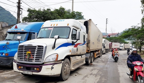 Xuất khẩu nông thủy sản sang Trung Quốc: Giải pháp đánh thức
