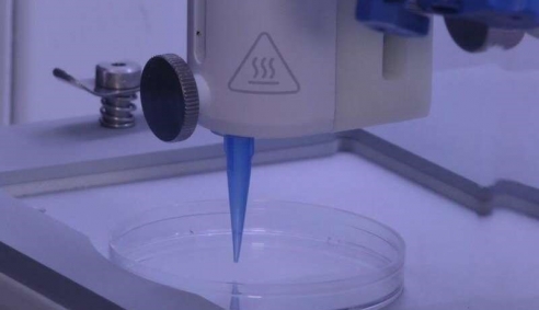 Công nghệ in 3D có thể giúp các nhà khoa học in da sống từ các mạch máu