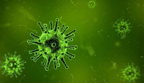 Tìm thấy loại protein có thể tiêu diệt nhiều lôại virus khác nhau
