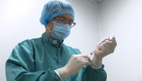 Vắc-xin Covid-19 'made in Vietnam' cho nhiều kết quả thử nghiệm tích cực