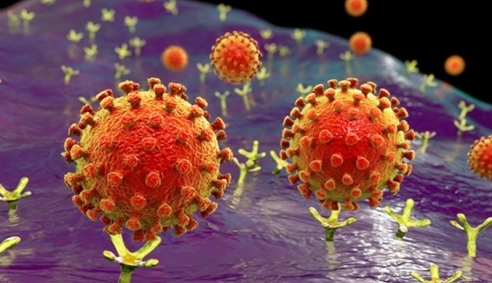 Nga: Nước sôi có thể ngay lập tức tiêu diệt virus SARS-CoV-2