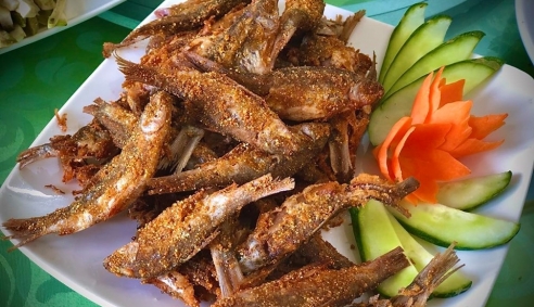 Phú Thọ: Cá thính Tử Đà được công bố nhãn hiệu tập thể
