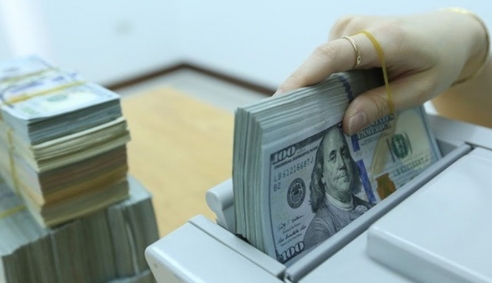 Tổng thống Trump tạo áp lực lên Fed khiến giá trị đồng USD ngày 13/9 giảm nhẹ