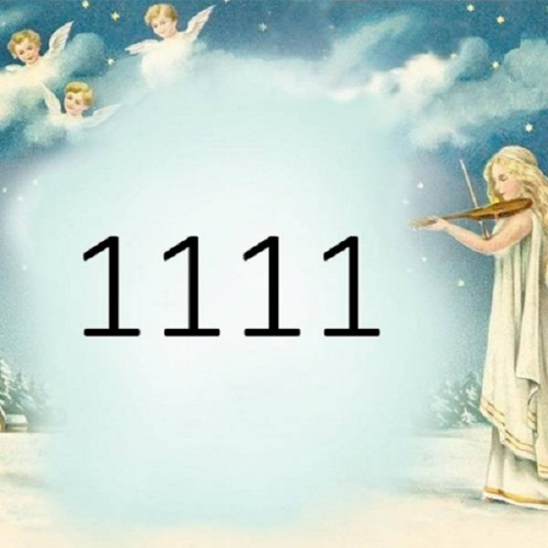 Ngay 11 11 La Ngay Gi