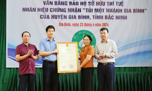 Bắc Ninh: Công bố nhãn hiệu chứng nhận Tỏi một nhánh Gia Bình
