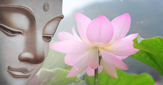 Hoa sen mang ý nghĩa rất đặc biệt trong truyền thống Phật giáo. Đó là biểu tượng của sự tinh tấn và sự thanh sạch. Hãy xem hình ảnh này và cảm nhận sự thuần khiết và tuyệt đẹp của hoa sen.