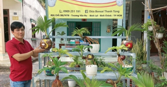 Anh nông dân thành phố tạo hình linh vật cho Bonsai dừa
