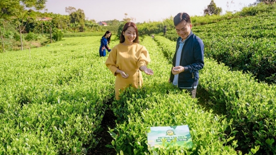 Trà Thái Nguyên - Di sản vươn tầm