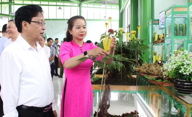Tăng cường quản lý tình trạng mua bán sâm Ngọc Linh giả tràn lan trên MXH