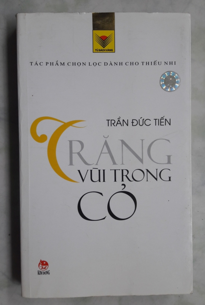 vi pham ban quyen van hoc a