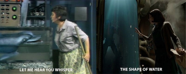 the shape of water