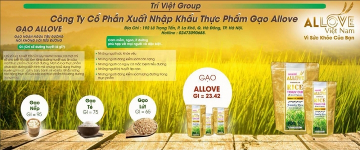 GAO ALLOVE