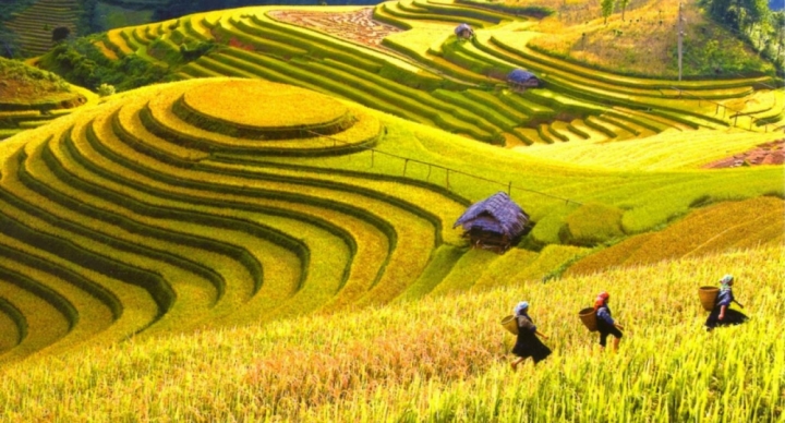 nao-long-mua-lua-chin-vang-ha-giang-1-1400x755