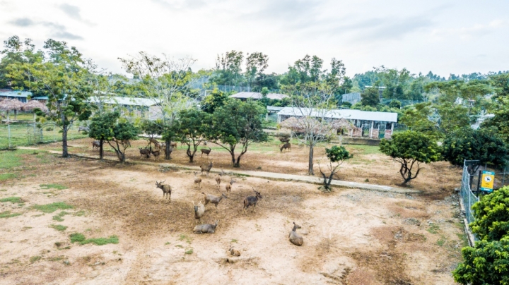 MUONG THANH 1