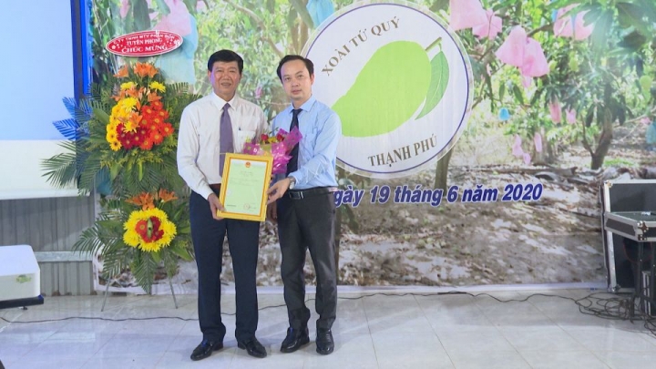 xoai tu quy
