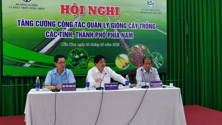 hien tuong vi pham ban quyen giong cay trong nguyen nhan do dau