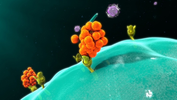 cytokines-1