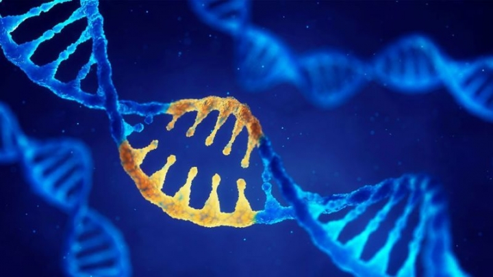 CRISPR-Cas9
