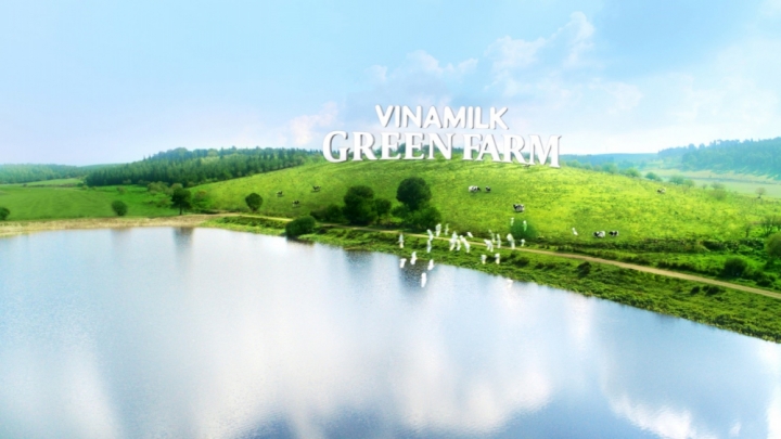 vm3