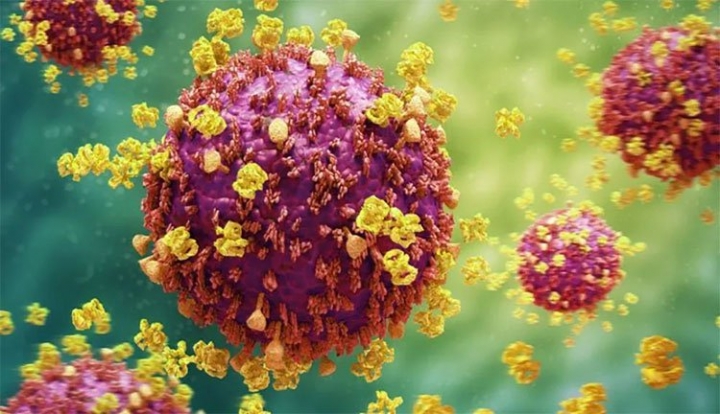 virus
