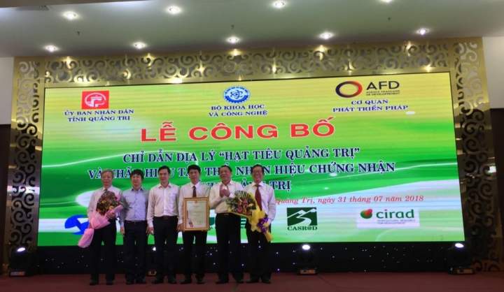 hat tieu quang tri