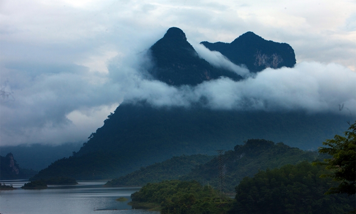 aaaa