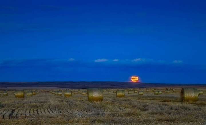 harvest-moon-2-gty-er-190910_hpEmbed_18x11_992