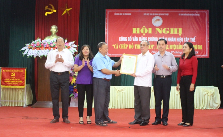 ca chep do thuy tram