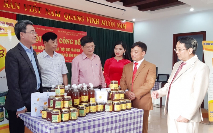 mat ong hoa binh