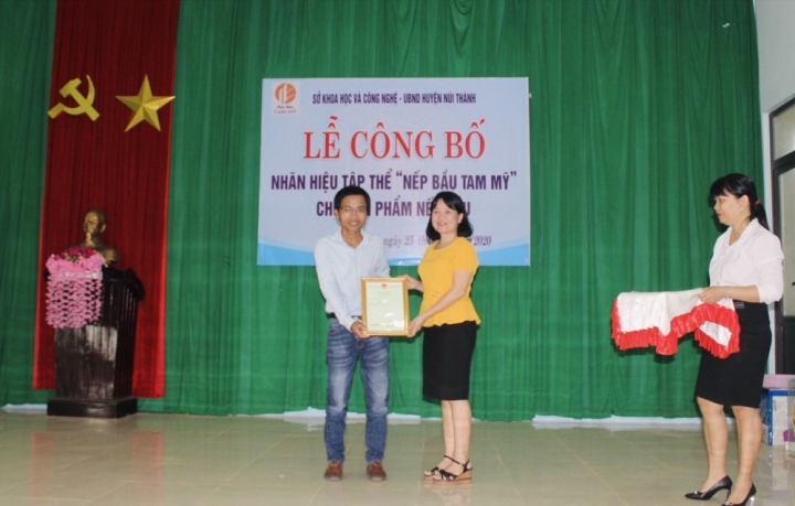 nep bau tam my