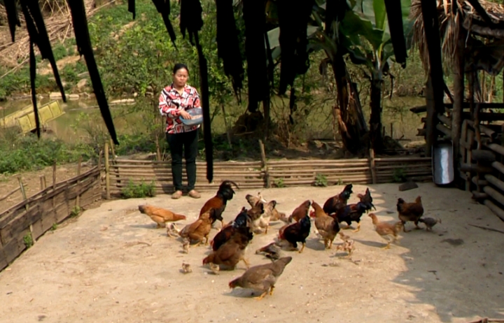 cong bo nhan hieu ga nhieu cua