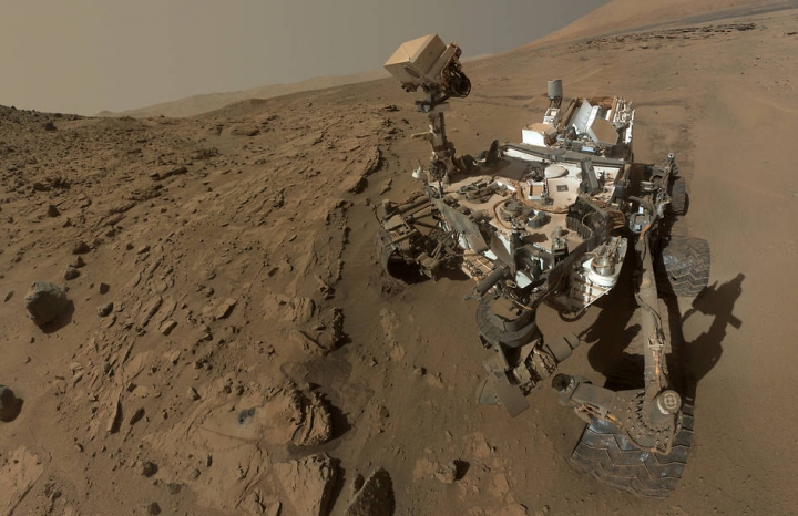 yir2014-curiosity-portrait-crop