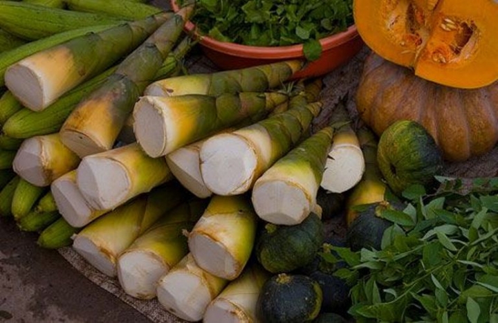 mang tre bat bo yen bai 2