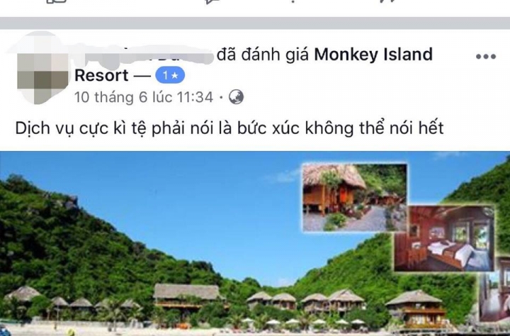 monkey 1