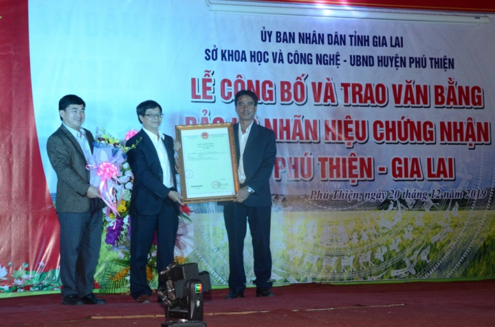 gao phu thien
