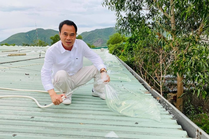 toc-mai